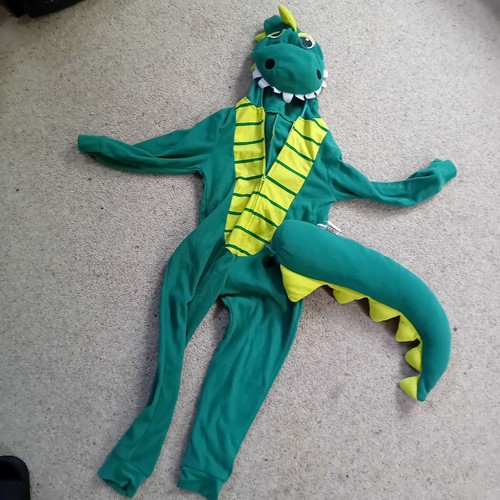 Dinosaur costume outfit - dinosaur,