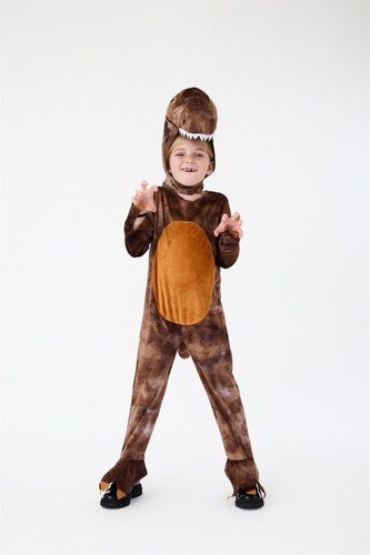 Kids rex dinosaur costume - kids,